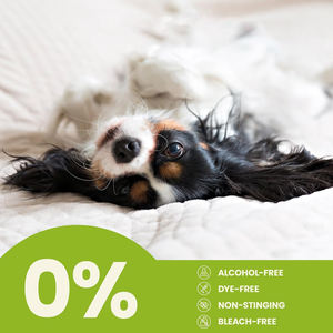 Lenços de limpeza de olhos para animais de estimação à base de plantas, removedor de manchas de lágrimas para cães e gatos, produtos naturais hipoalergênicos de marca própria - Product Image 6