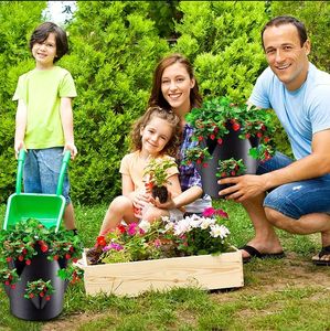 10 gallons fraise tomate plante sac de culture poignée de fenêtre tissu feutre matériel <span class=keywords><strong>pour</strong></span> intérieur extérieur pépinière serre compléments - Product Image 6