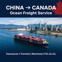Agent de transport maritime de conteneurs complets 20 pieds et 40 pieds les plus rapides, transitaire de fret de Chine vers les États-Unis et le Canada DDP DDU