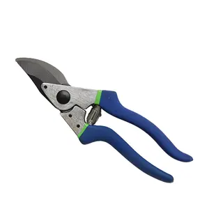 Household Garden scissors outdoor grass bonsai professional tool grape tree pruning shears with dipped soft handle