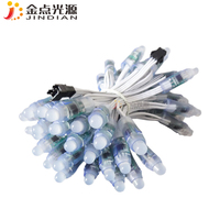 12 مللي متر WS2811 IC كامل اللون بكسل LED مصابيح إضاءة وحدة IP68 للماء RGB عيد الميلاد شجرة بكسل ضوء
