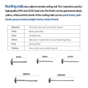 Best Price Galvanize Umbrella Head Twist Shank Roofing Nails Umbrella Head Nails Nails