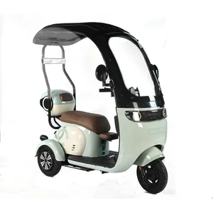 Hot Sale Electric Tricycle Scooter 500W Family Use Electric Pedicab 3 Wheel Electric Bike With Roof