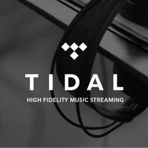 Suscripción Premium a Tidal Music por 12 Meses, Cuentas Tidal, Tidal Hifi Plus 1 Año - Product Image 2