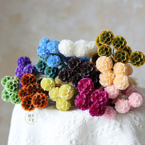 Bouquet de gousses de Scabiosa naturelles préservées de haute qualité, gousses florales séchées en forme de roue à pin pour la décoration de vases domestiques, vente en gros - Product Image 6