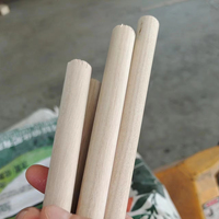Panneau de bois massif en paulownia, cylindrique, pour bricolage, matériel de construction artisanal, outil pédagogique