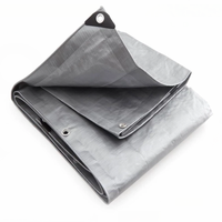 50GSM-180GSM bâche étanche robuste PE bâche pour la couverture de camion extérieur