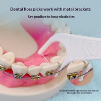 50 pièces/sac – Vente en gros – Fil dentaire orthodontique en plastique pour appareils dentaires, crochets en acier, correction et nettoyage des dents – Portable