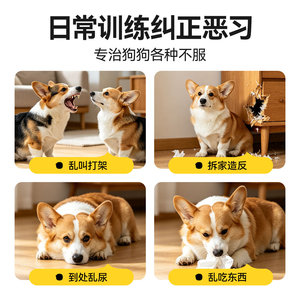 Bâton d'entraînement pour chien 50/75/95 cm, poignée givrée, équipement d'entraînement pour animaux de compagnie, intérieur/extérieur, pour chiens et chats - Product Image 5