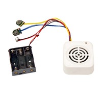 Module audio enregistrable à bouton-poussoir pour jouet en peluche, poupée en peluche, lecteur de messages vocaux DIY