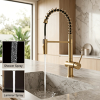 Robinet de cuisine flexible en acier inoxydable 304, finition or brossé, avec jet cascade et pulvérisation, mitigeur eau chaude et froide