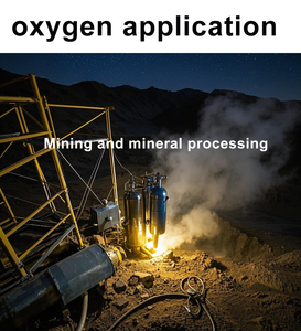 Il generatore di ossigeno 93% PSA di NEWTEK 15nm/hr fornisce servizi gratuiti di installazione in loco per l'estrazione dell'oro e la lavorazione dei minerali - Product Image 2