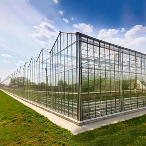 Serre en verre agricole verticale à contrôle automatique intelligent