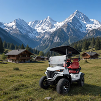 Voiturette de golf électrique compacte et abordable, équipée de lumières LED, en vente à prix réduit