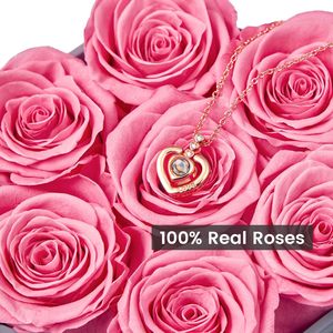 Rosas Preservadas Rosadas Eternelles, Rosas <span class=keywords><strong>Inmortales</strong></span> con Tacto Real, Flores Preservadas con Collar de Regalo - Product Image 2
