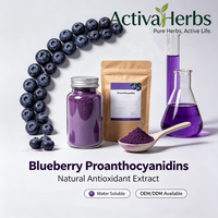 Ekstrak Bubuk Blueberry Alami Larut Air 25% Antosianidin 36% Antosianin