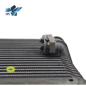 Évaporateur de climatisation automatique FMMLXE0001 pour Lexus LS400, taille 255*90*275mm - Product Image 5