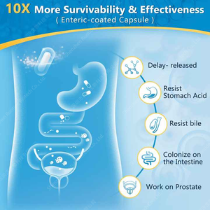 บิมูยู แคปซูลโปรไบโอติกส์เพื่อสุขภาพทางเดินอาหารสำหรับผู้ชาย  ประกอบด้วยเอ<span class=keywords><strong>น</strong></span>ไซม์ ซอว์ พาลเมตโต แครนเบอร์รี่ เสริมภูมิคุ้มกัน บำรุงลำไส้ ต่อมลูกหมาก และระบบทางเดินปัสสาวะ - Product Image 2