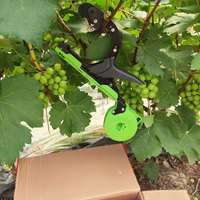 Outil manuel de ligature de plantes pour le jardinage avec rouleau de ruban adhésif et accessoires de agrafes