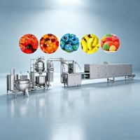 Hoge capaciteit 150-600kg/uur vitamine gummy snoepmachine, CE-gecertificeerd, machine voor productie en verpakking van gevulde gummies