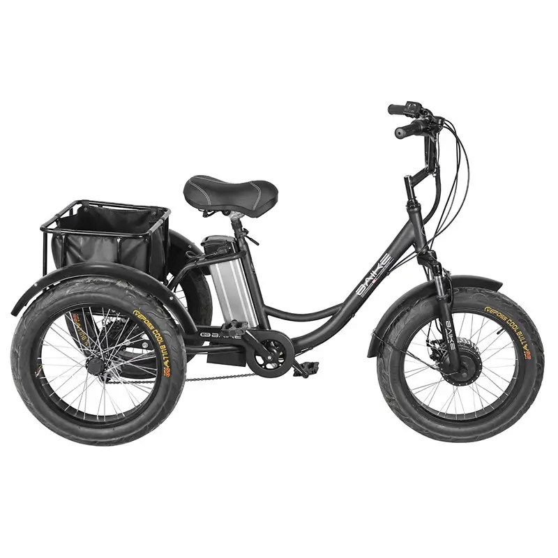 Lange palette off road fett reifen elektrische dreiräder mit 250w kits motor 3 rad fracht dreirad van in peru