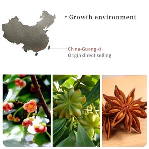 Anís estrellado Sabor a comida Potle caliente Especias Semilla de anís estrellado para condimentar Opot Condimentsg 100 g/bolsa 100g Pieza de cartón de alta calidad - Product Image 5