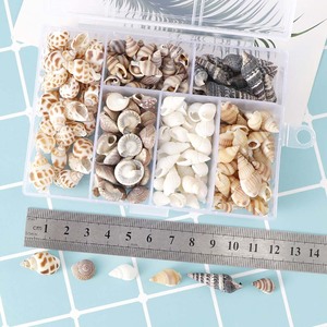 About 100Pcs/Box Natural Conch <strong>Shells</strong> Aquarium Landscape Seashells Crafts Decor Home Decoration DIY Craft Conch <strong>Shell</strong> Pendant - Product Image 2