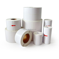 Étiquette d'expédition autocollante 102x152mm 4x6 pouces 70g 100mmx150mm pour DHL FEDEX UPS - Impression thermique directe