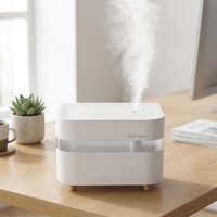 Diffuseur ultrasonique portable en plastique, best-seller d'usine, 450 ml, mini humidificateur rechargeable par USB avec batterie
