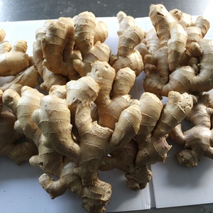 Bán Buôn Trung Quốc Trưởng Thành Siêu Hữu Cơ Gừng Tươi Chất Lượng Cao Khô Vàng Gừng Để Bán - Product Image 4