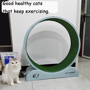Tapis roulant pour chat, exercice de remise en forme, tapis roulant intérieur pour animaux de compagnie, rouleau silencieux, jouet pour chat, perte de poids, fournitures pour chat - Product Image 5