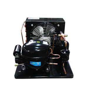 Compressor de unidades condensadoras refrigeração do quarto