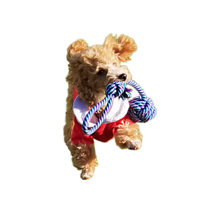 Limpiar y ejercitar los dientes de un perro Reduce enfermedades como el cálculo dental Mantener la salud bucal Cuerda de algodón para mascotas - Product Image 6