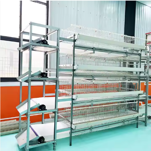 Egg Layer Cage System Galvanized Breeding