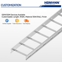 Hdmann IEC-Zertifizierte 500mm Korrosionsbeständige SS304 Edelstahl-Kabelleiter für Halbleiter-Fabrikverkabelung