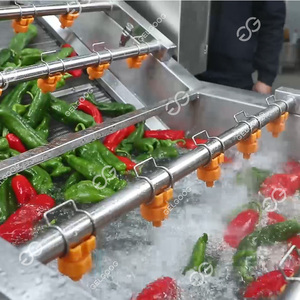 Ligne automatique commerciale d'équipement de lavage de coupe de poivre laveuse et trieuse de tomate de carotte - Product Image 2