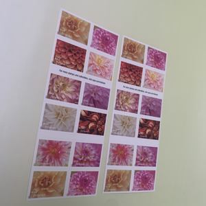 复古贴纸复古植物装饰剪贴簿标签 - Product Image 1