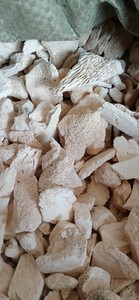 ONG Gu Fossilized ones <span class=keywords><strong>Ossa</strong></span> Draconis Dragon bones para hierba - Product Image 3