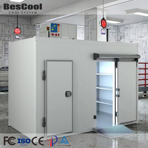 Chambre froide mobile industrielle écologique facile à utiliser pour le stockage du porc et de la crème glacée - Product Image 1