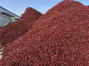 Chiles Rojos Secos Yidu Premium, Enteros, 5000 SHU, Pimiento Rojo de Pekín - Product Image 5