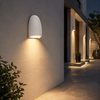 Lumière LED de jardin murale extérieure étanche IP65 avec température de couleur 3000K/4000K 110-265V pour maison, restaurant, hôtel