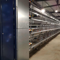 Cage à batterie de type H à 4 niveaux pour poules pondeuses volière pour élevage de volailles Cage à œufs et poulets neuve