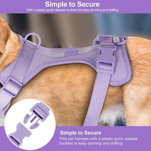 New Lightweight Custom Logo Pet Dog Safety Harness Adjustable Soft Padded Air Layer Dog Harness With Rubber Dog Collar Leash Bag - Product Image 6