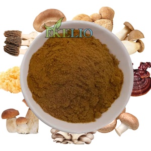 Extracto de Hongo en Polvo, Polisacáridos, Extracto de Hongo <span class=keywords><strong>Armillaria</strong></span> <span class=keywords><strong>Mellea</strong></span> - Product Image 3