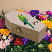 Ataúd Personalizado de Madera Maciza para Mascotas, Caja Funeraria para Perros, Gatos y Pájaros, Impresión UV, Entierro Conmemorativo Personalizado