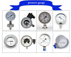 Manômetro Axial de Diafragma de Baixa Pressão -1-3bar 63mm com Mostrador Seco para Tubulação Industrial - Product Image 5