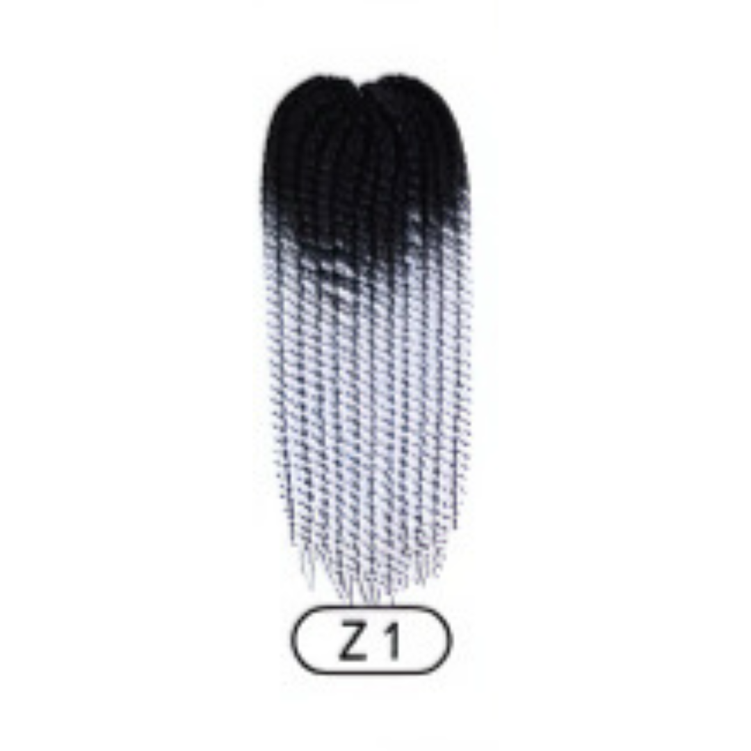 Z1