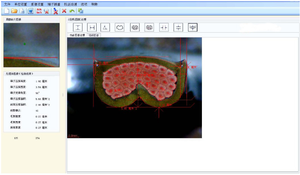 Sistema Automático de Corte e Moagem Aiqiric Analisador de Seção Transversal de Terminais de Chicote Automotivo Teste de Fabricação de Cabos - Product Image 5