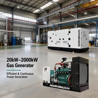 Générateur au gaz naturel de 30 kW pour la maison, alimentation de secours 37,5 kVA, alimentation continue au GPL/GNC