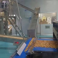 Machine multifonction en acier inoxydable pour la fabrication de biscuits croustillants au sésame et à la pêche, de biscuits sucrés, compatible avec les noix, la farine et le lait, pour usage en boulangerie
